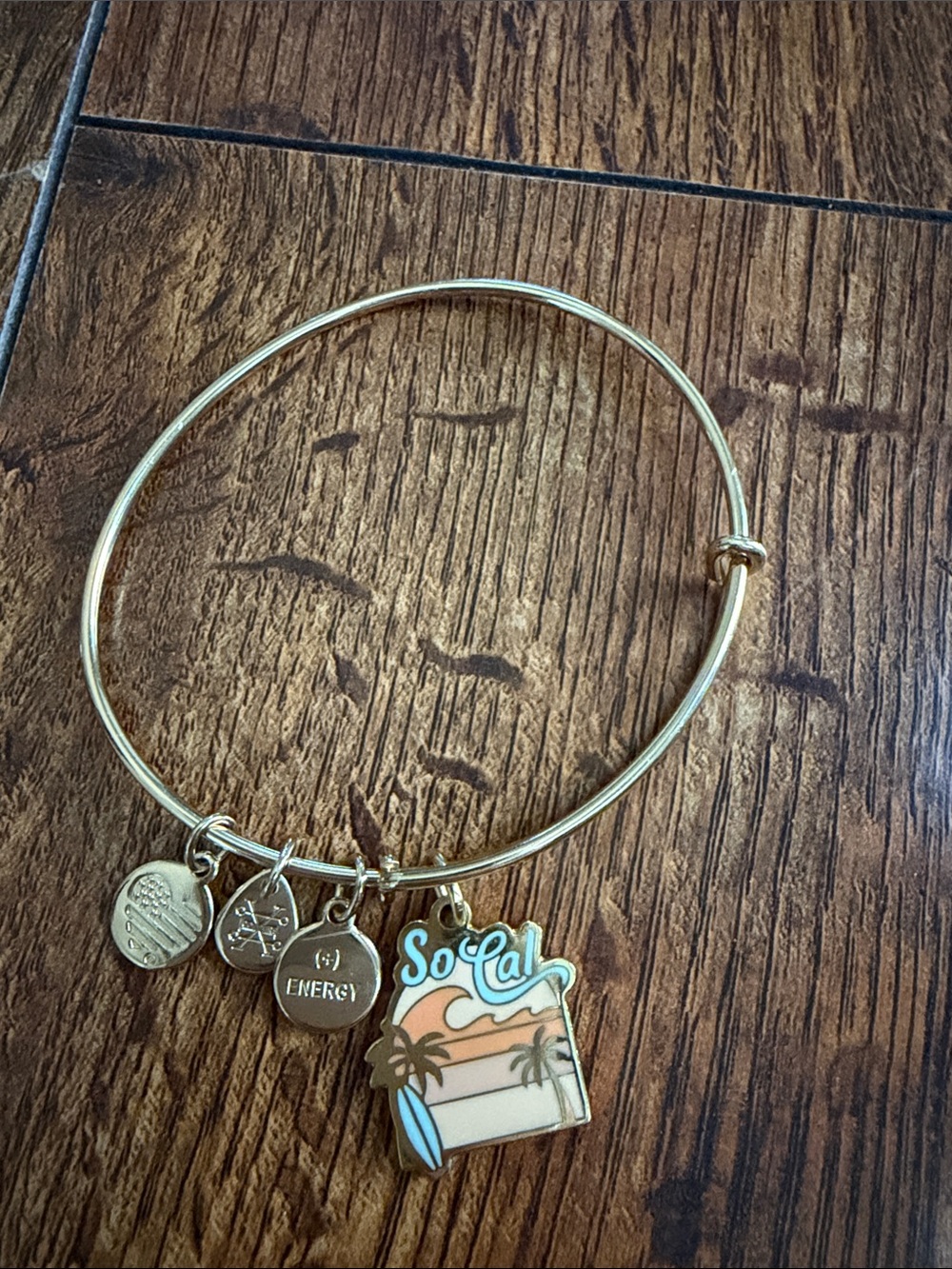 Alex and Ani Gold Tone State Charm Bangle Bracelet